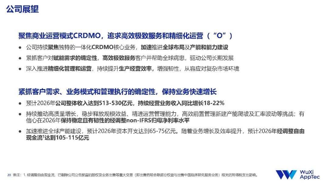 药明康德，超越想象