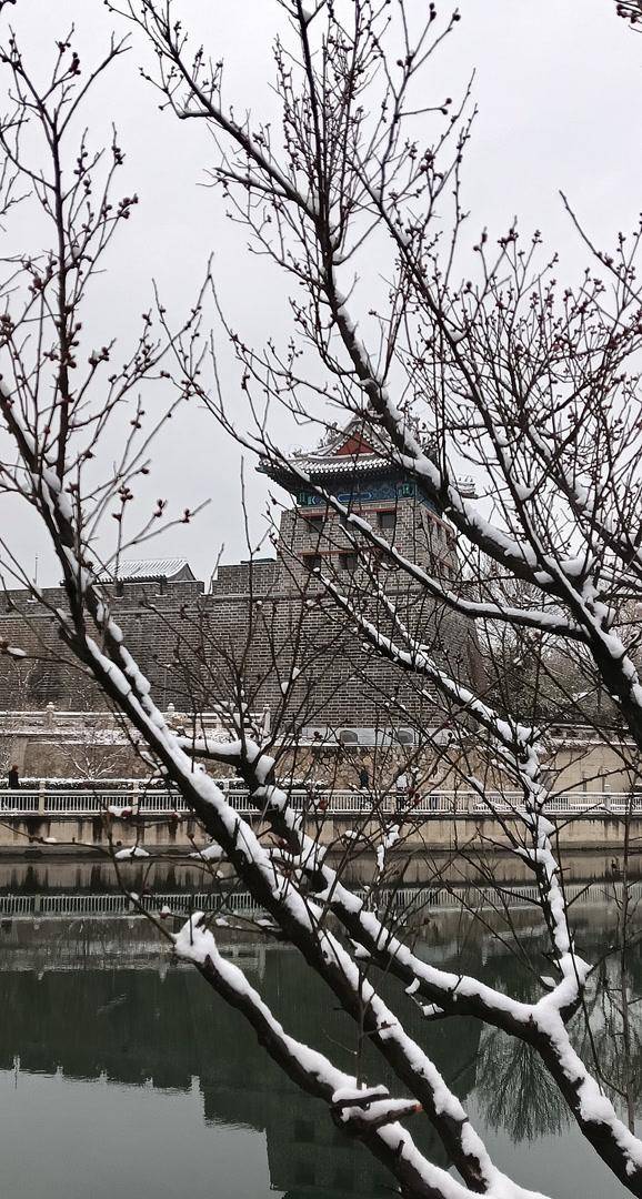 护城河畔雪初霁 左安楼下梅已开