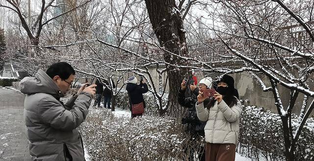 护城河畔雪初霁 左安楼下梅已开