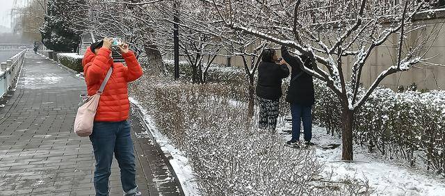 护城河畔雪初霁 左安楼下梅已开